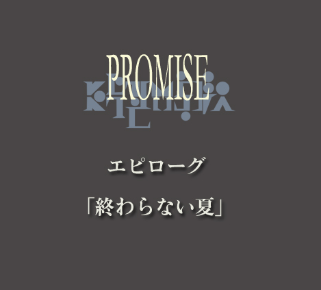 IȂā\PROMISE